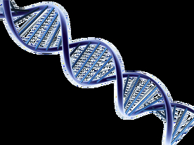 یک عدد شگفت انگیز درباره DNA